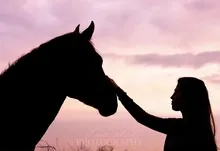 women models horses hannah biermann 2048x1422 wallpaper Art HD Wallpaper